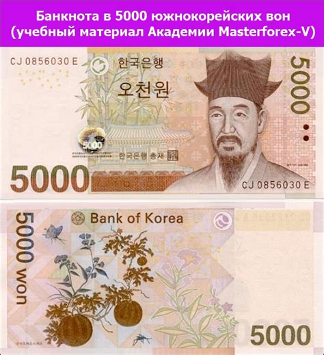 95000 вон в рублях|Обменный курс для переводов из южнокорейских вон в .